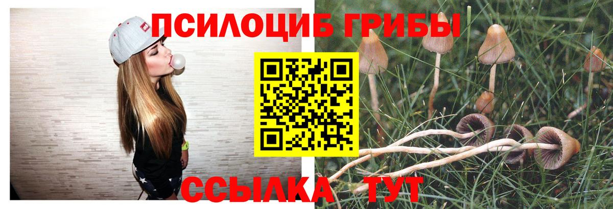 Галлюциногенные грибы MAGIC MUSHROOMS  Галлюциногенные грибы прущие грибы  Ахтубинск  Вход с VPN 